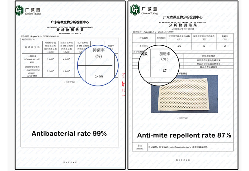 Authoritative Test Report On Antibacterial And Anti-mite