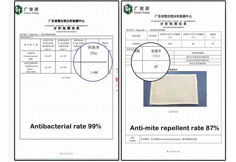Authoritative Test Report On Antibacterial And Anti-mite