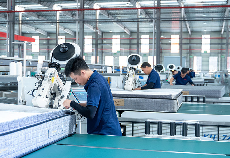 Customization Options — Tailored to Your Market Needs