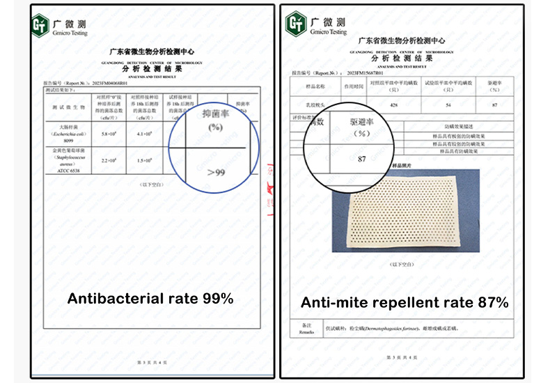 Authoritative Test Report On Antibacterial And Anti-mite