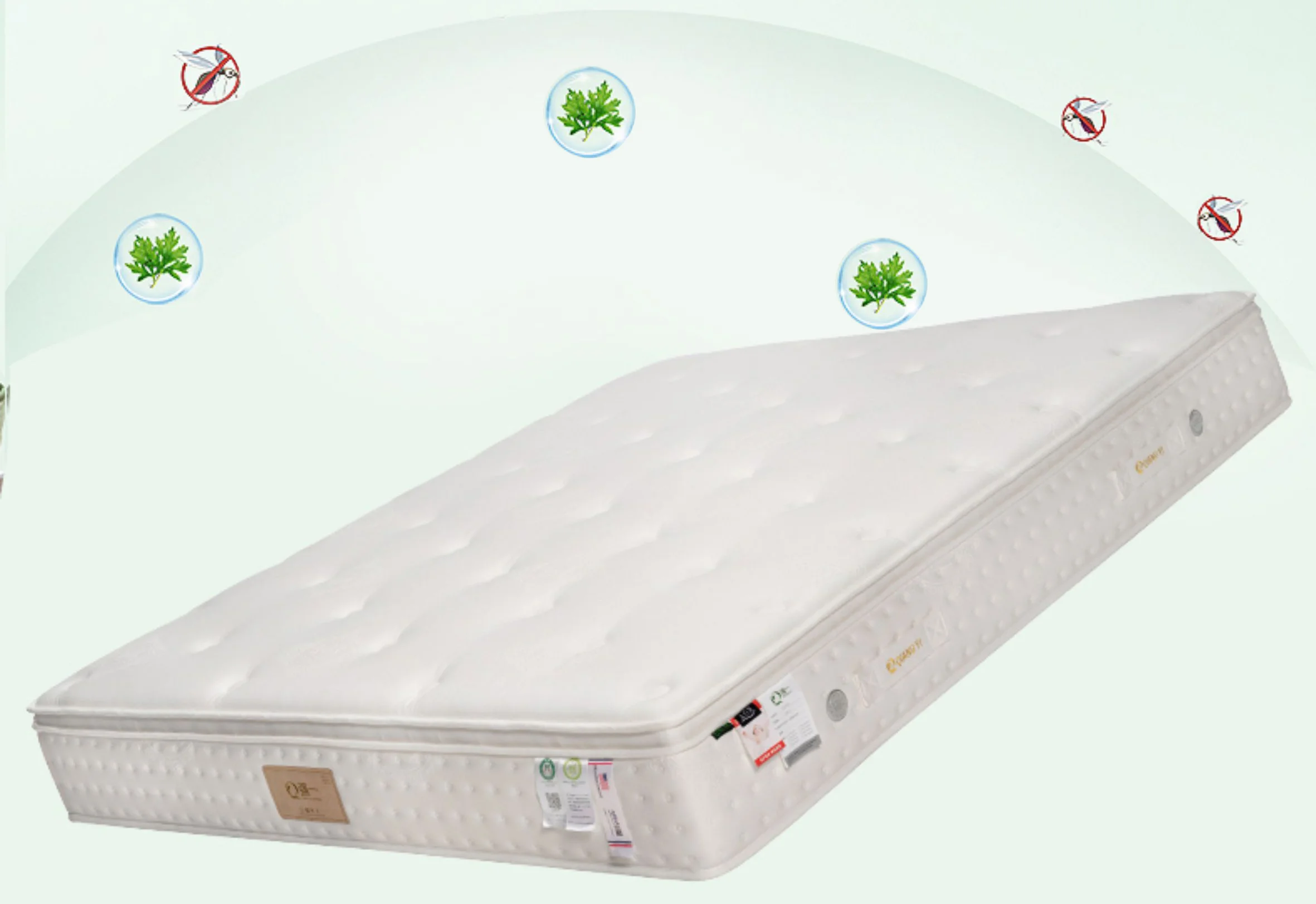 A subtle herbal fragrance; with mugwort in the home, mosquitoes will stay away.