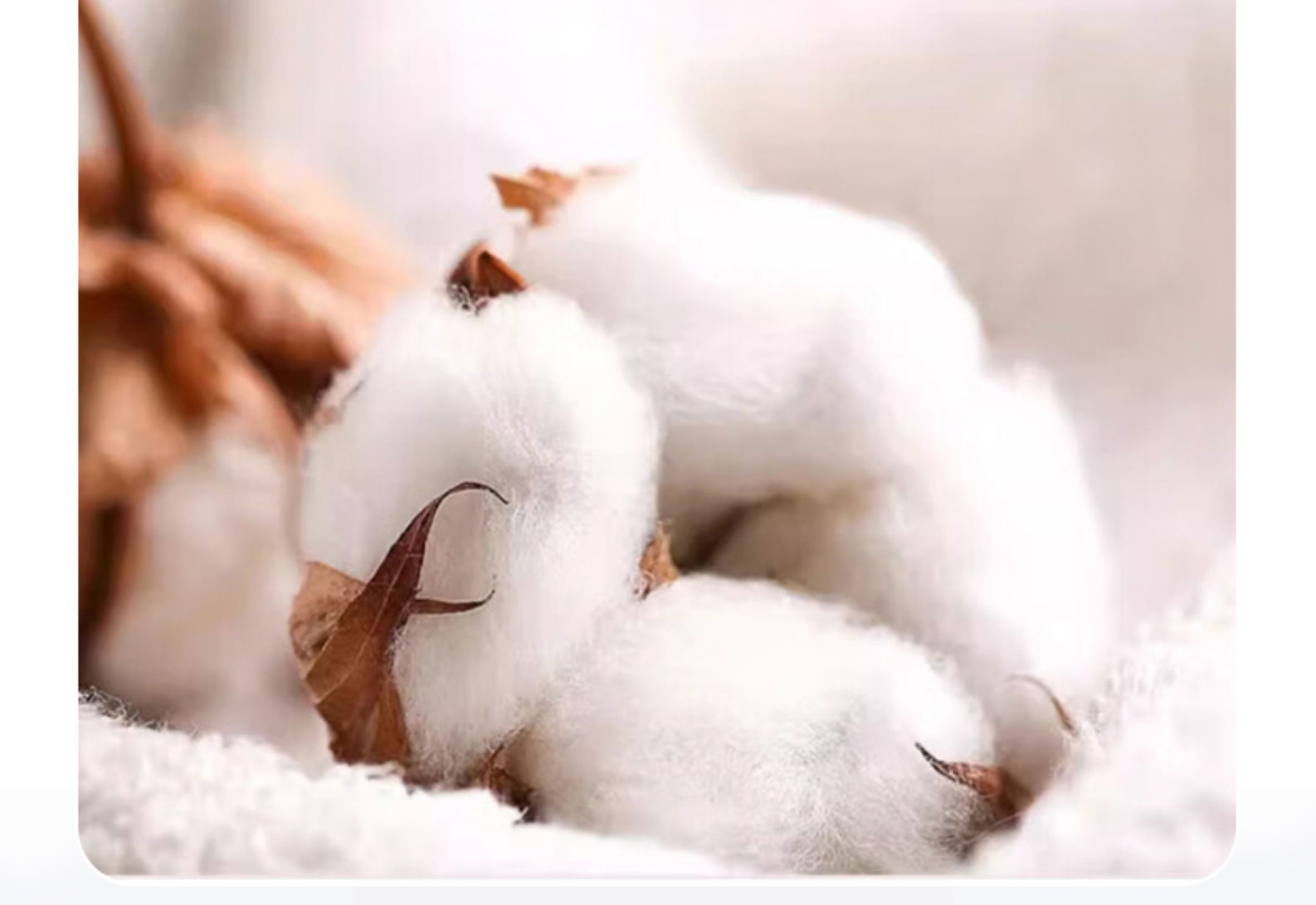 Good sleep starts from the source