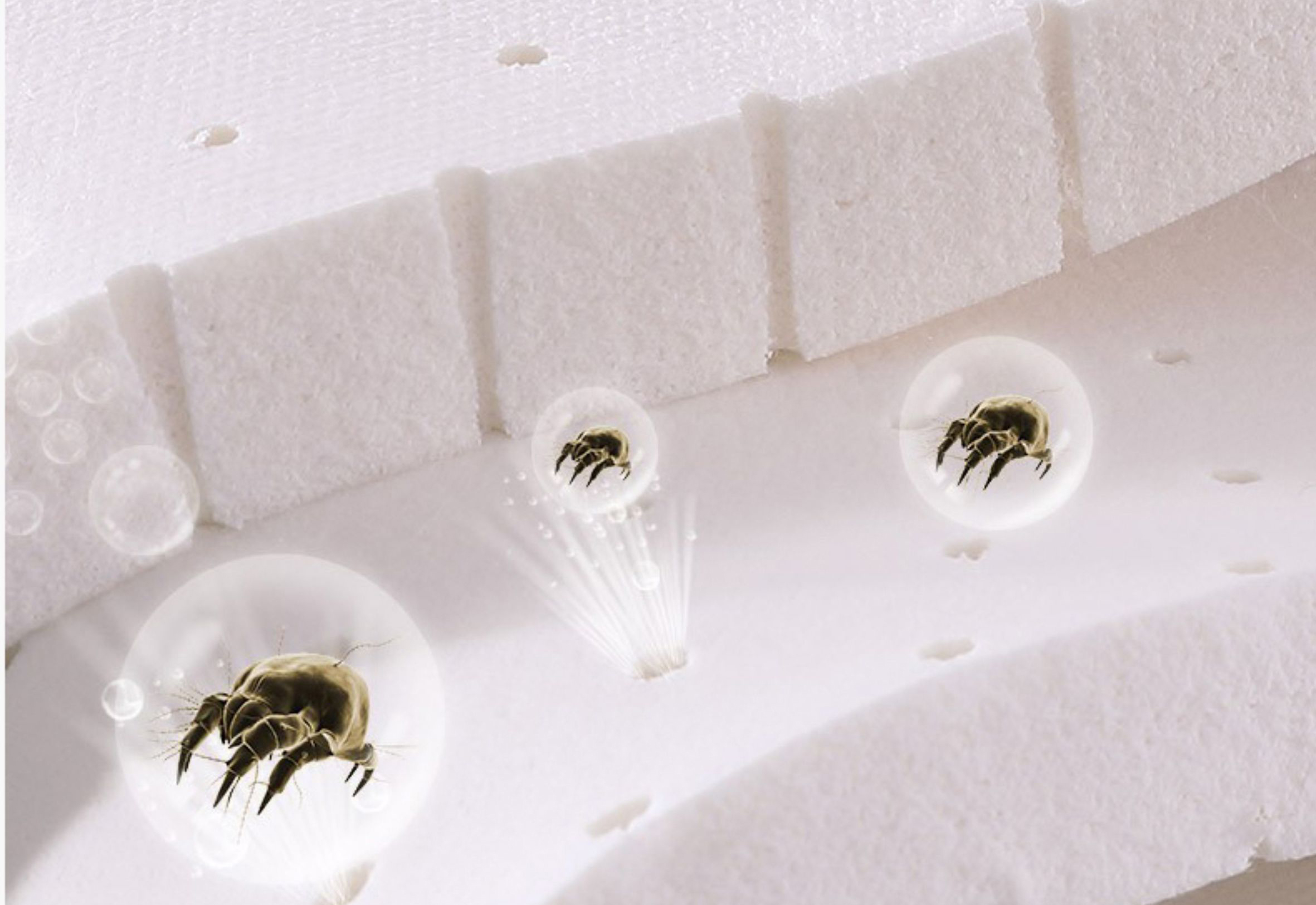 Natural latex has a mite-proof rate of up to 87%.