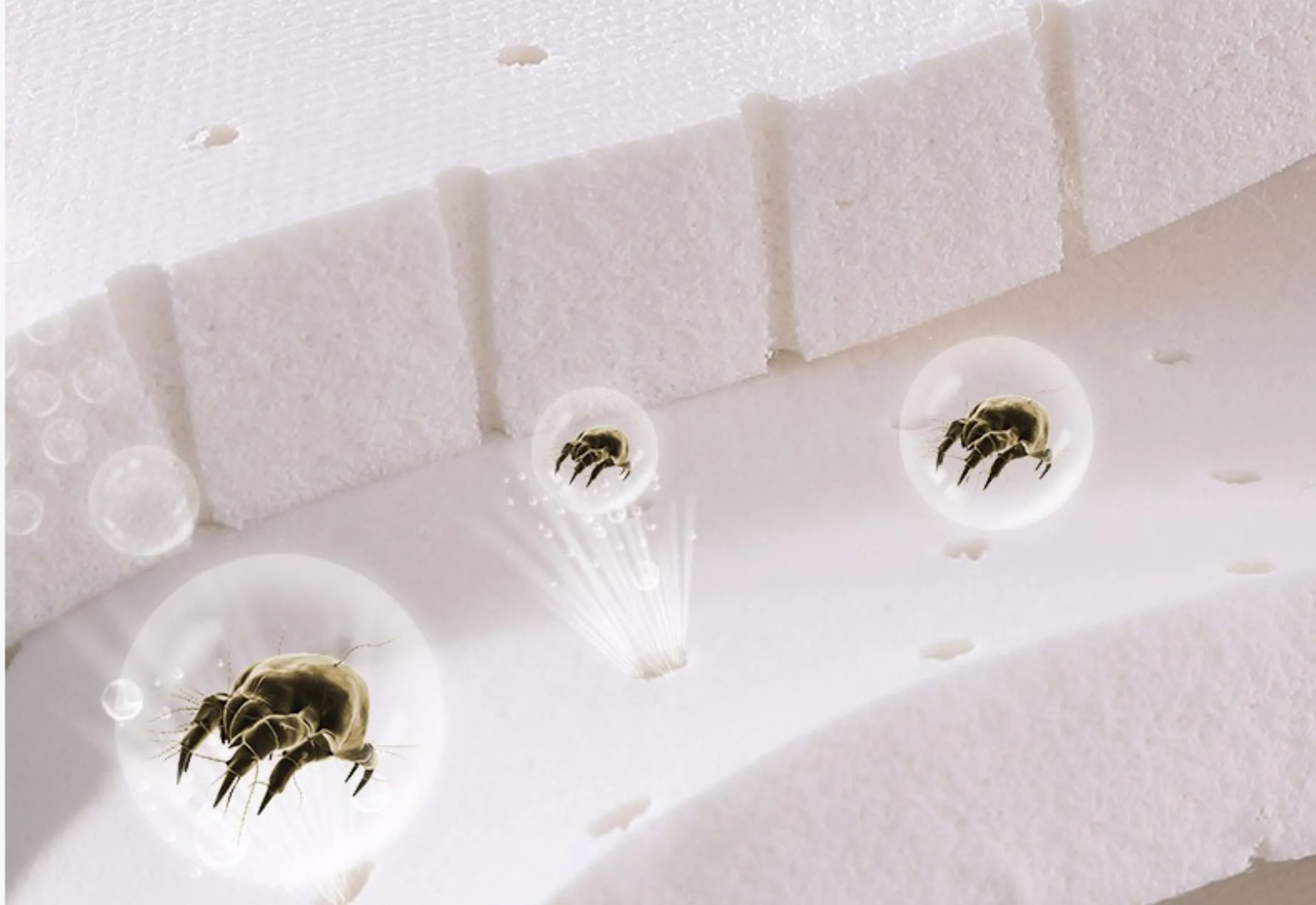 Natural latex has a mite-proof rate of up to 87%.