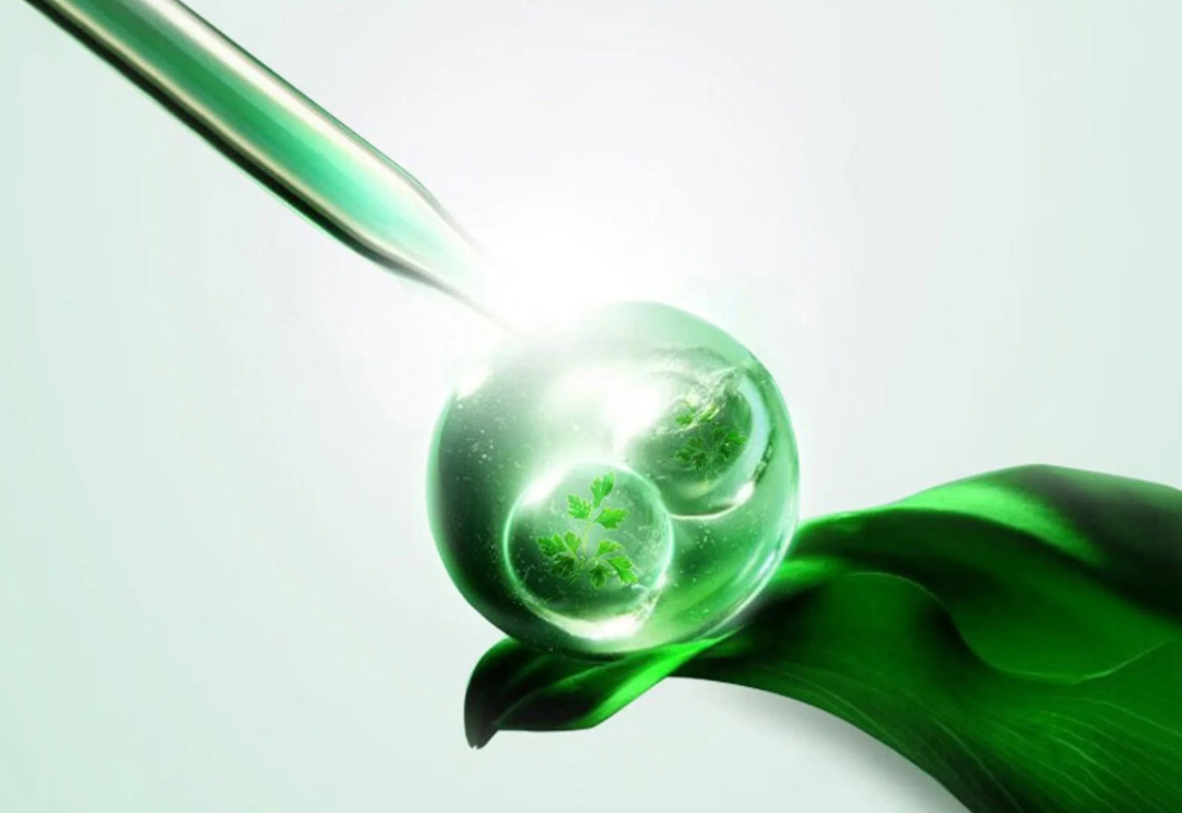 Nano-microcapsule technology was used to produce Artemisia argyi essential oil plant fiber.