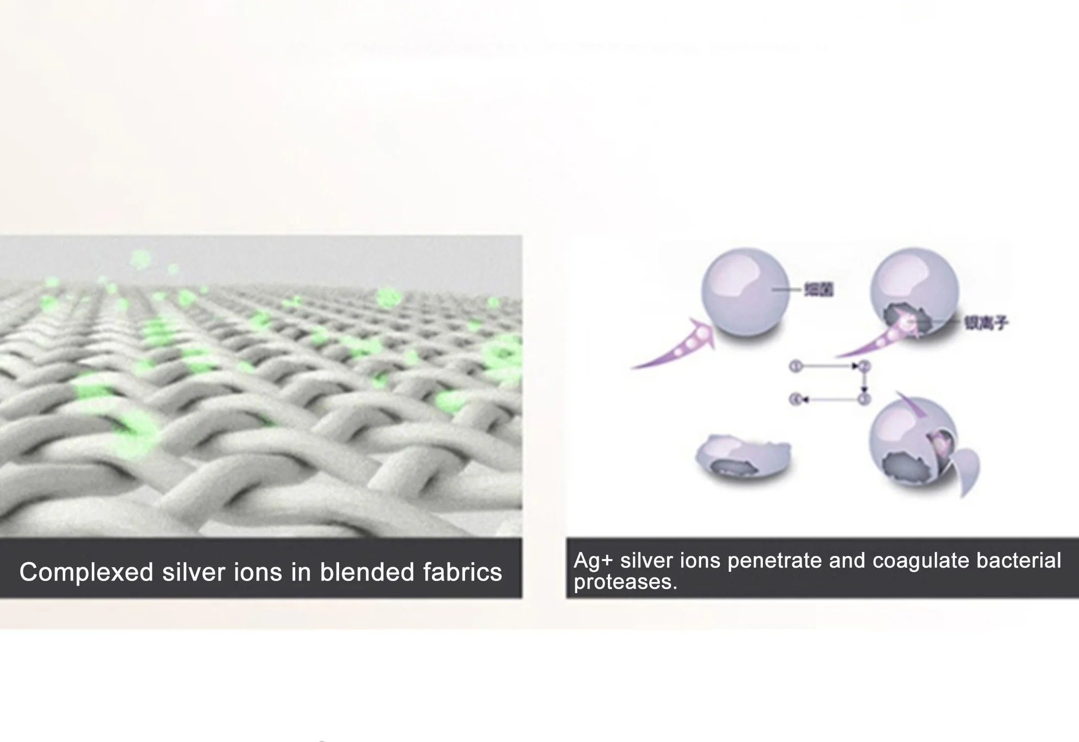 The antibacterial principle of silver ions